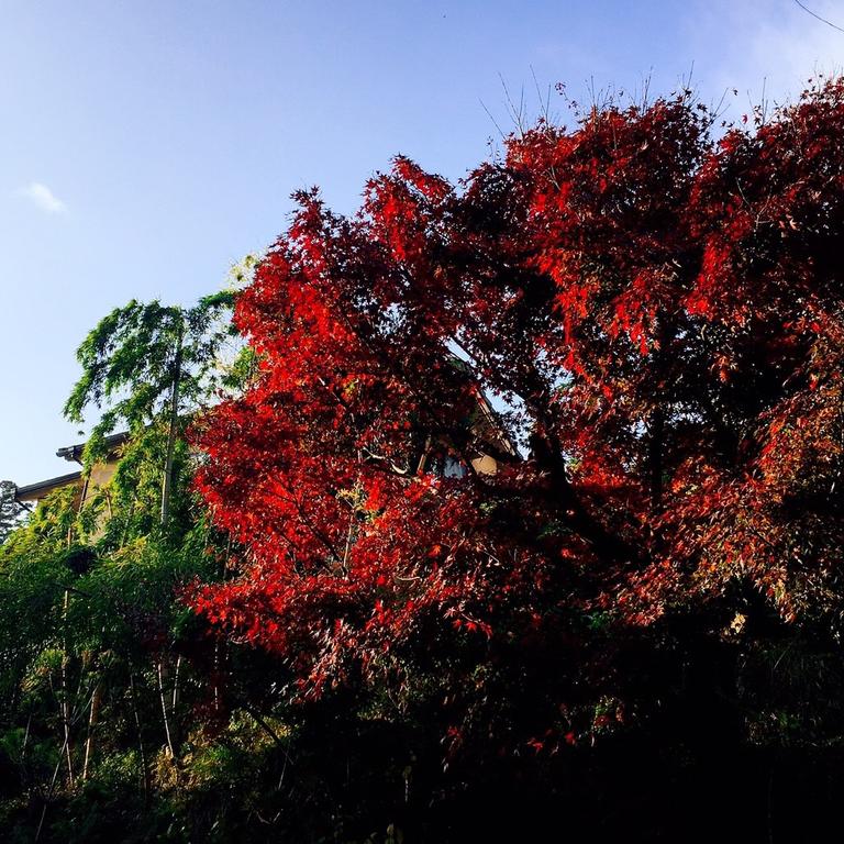 Yado Arashiyama