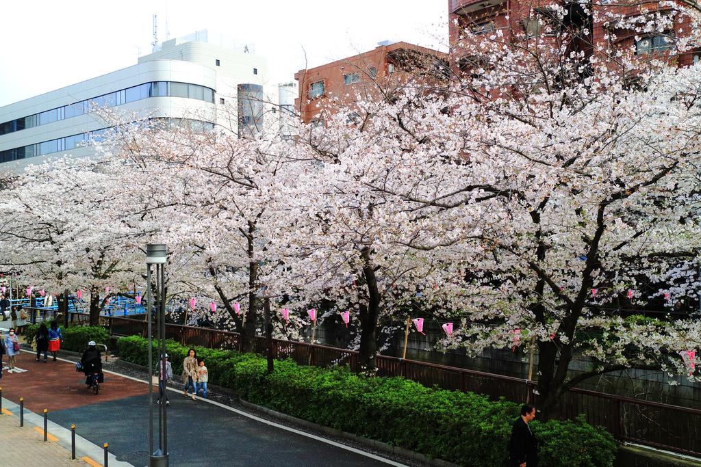 COTO Tokyo Shibuya