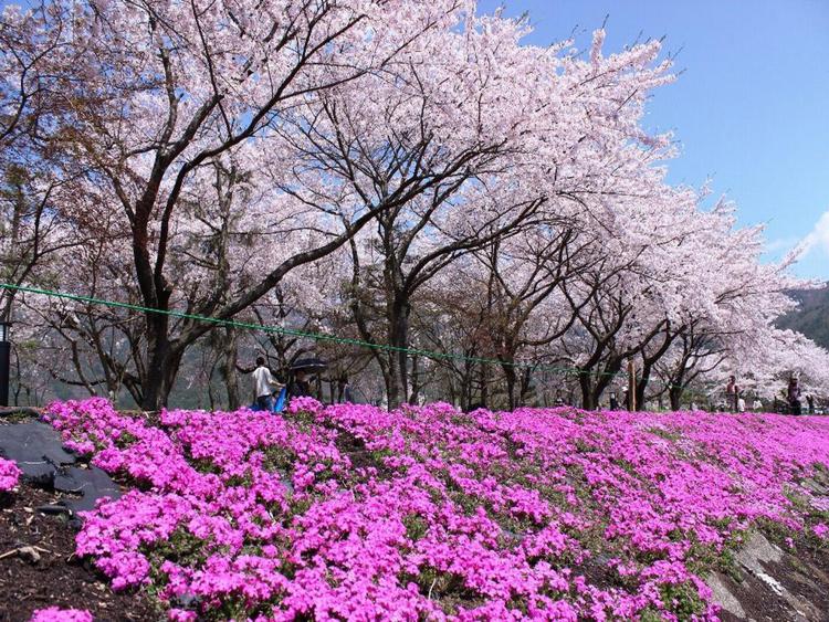 Fujikawaguchiko Crescendo