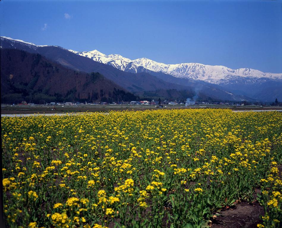 Hakuba Tokyu Hotel