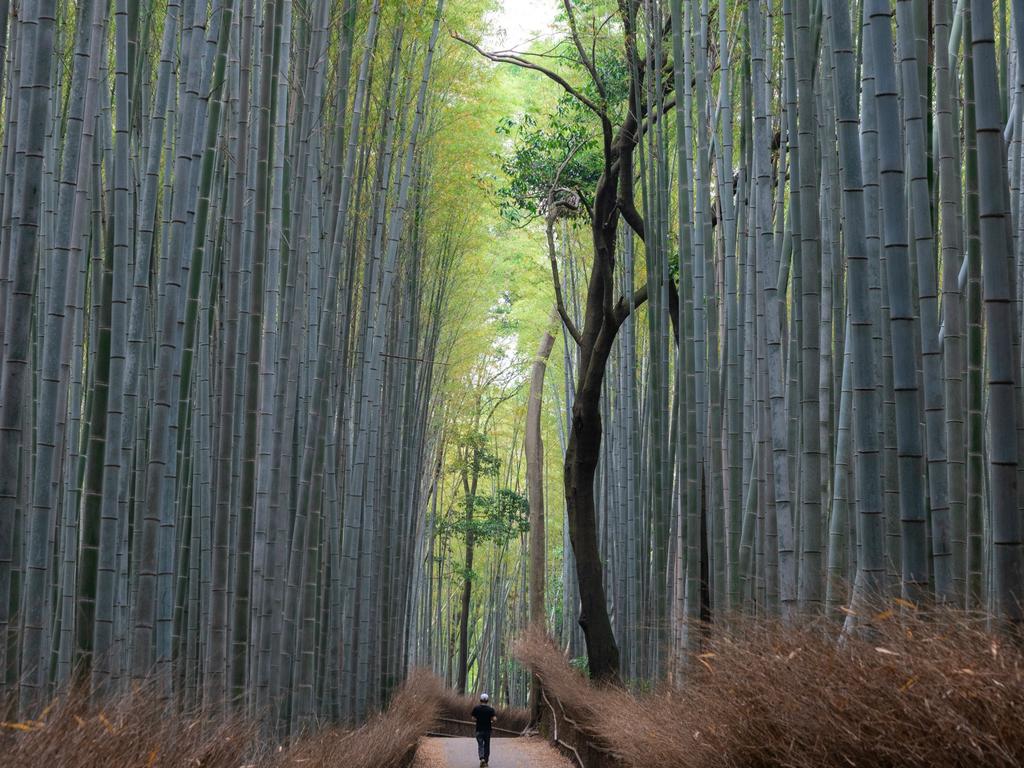 STAY KIYOMIZU GOJO