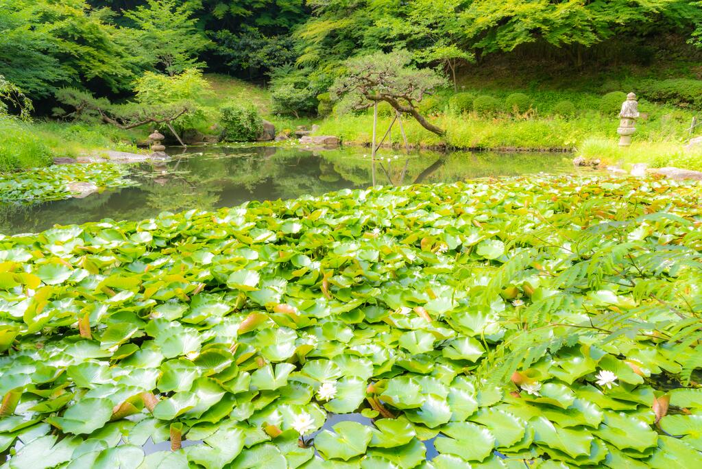 Motoyu Kosenkaku