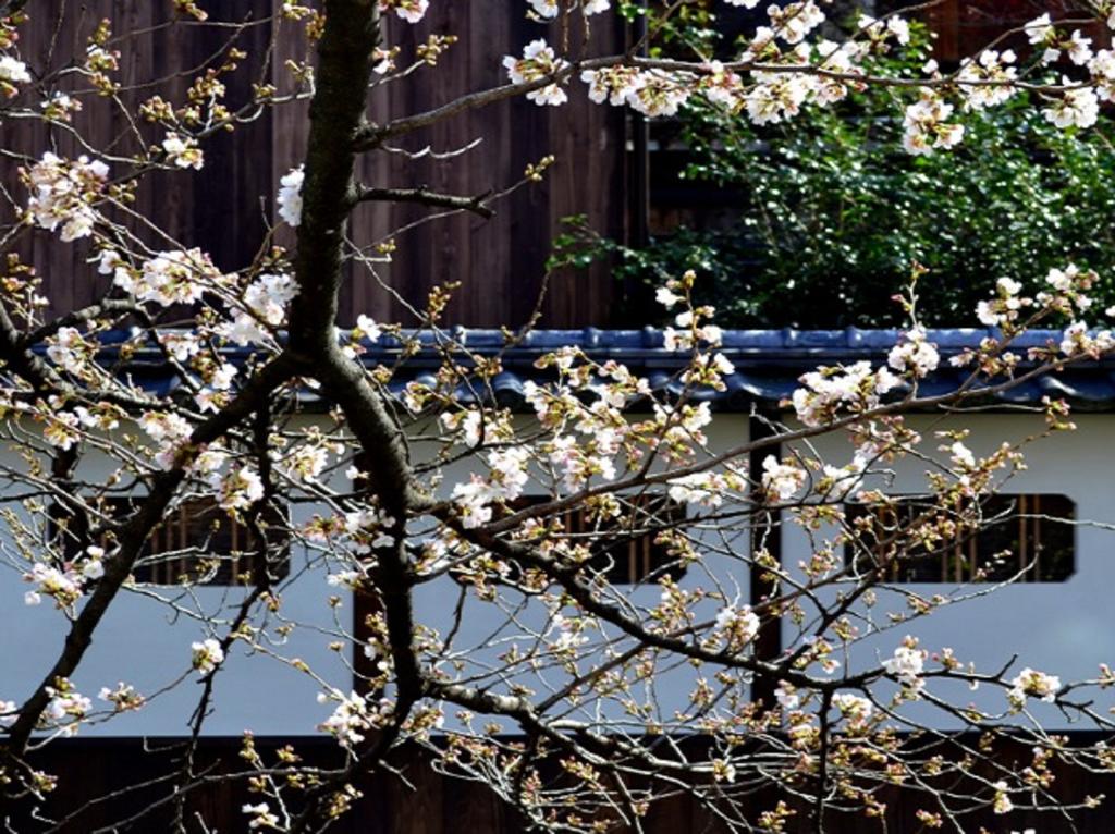 Kyoto Gion Kiraku Inn