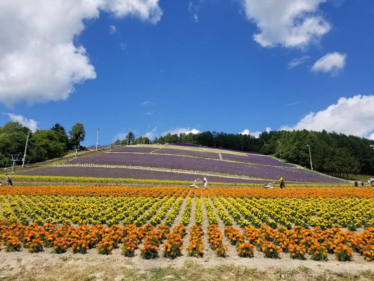 Furano Mount Villa