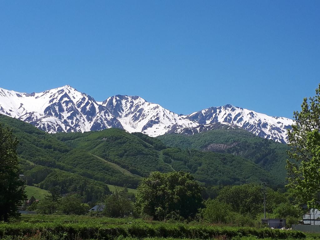 Reposer Hakuba