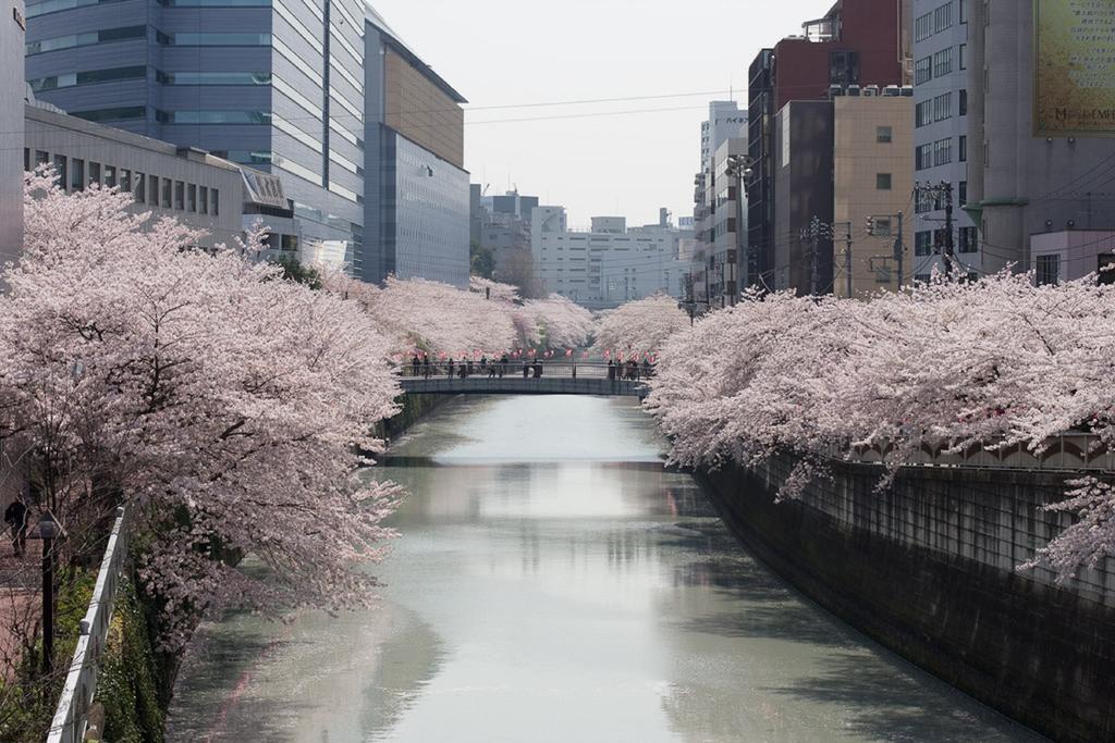 Hotel Mid In Meguro Ekimae