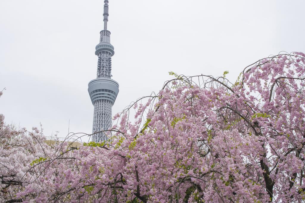 Hotel 3000 Asakusa Honten