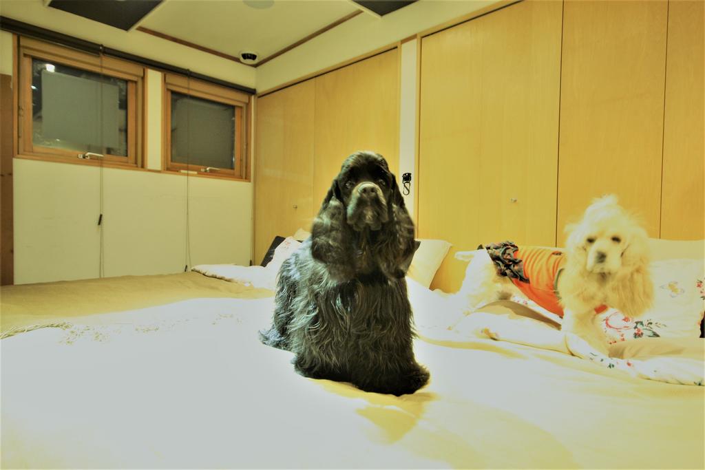 Sapporo Hiraoka Dog Hotel