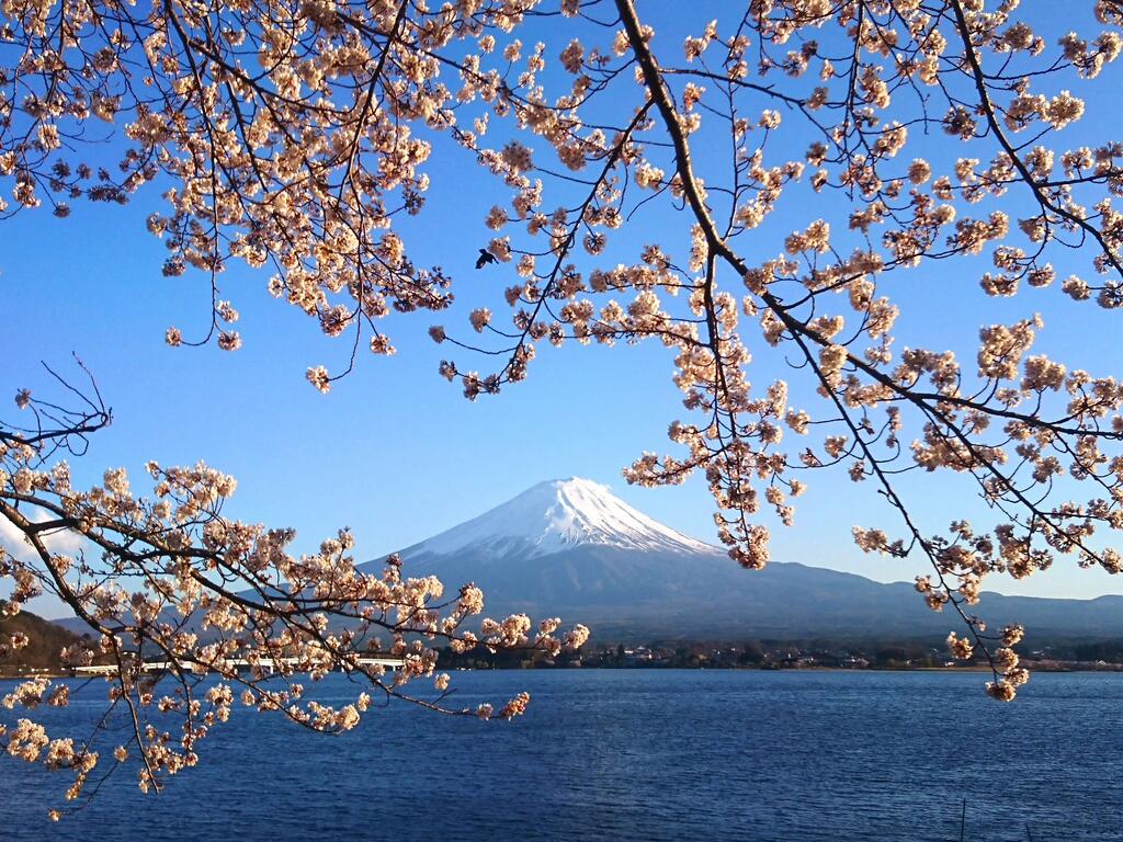 Lake Villa Kawaguchiko