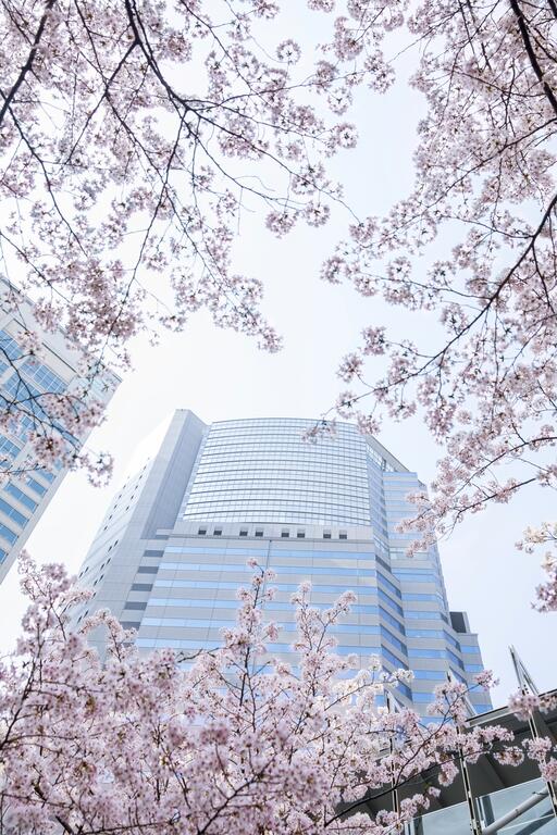 The Strings by InterContinental, Tokyo