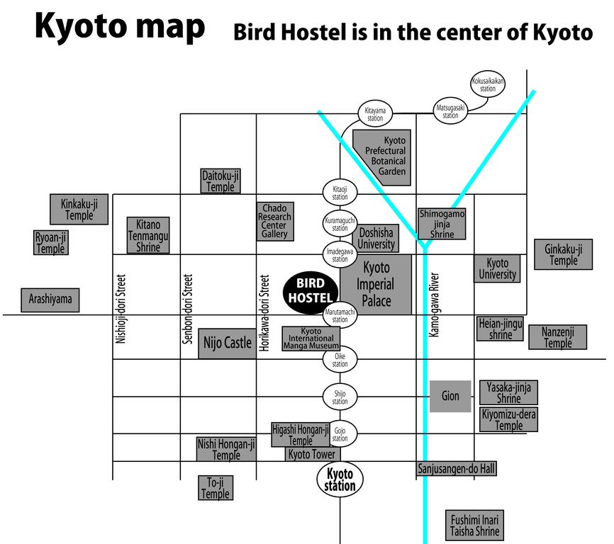 Bird Hostel