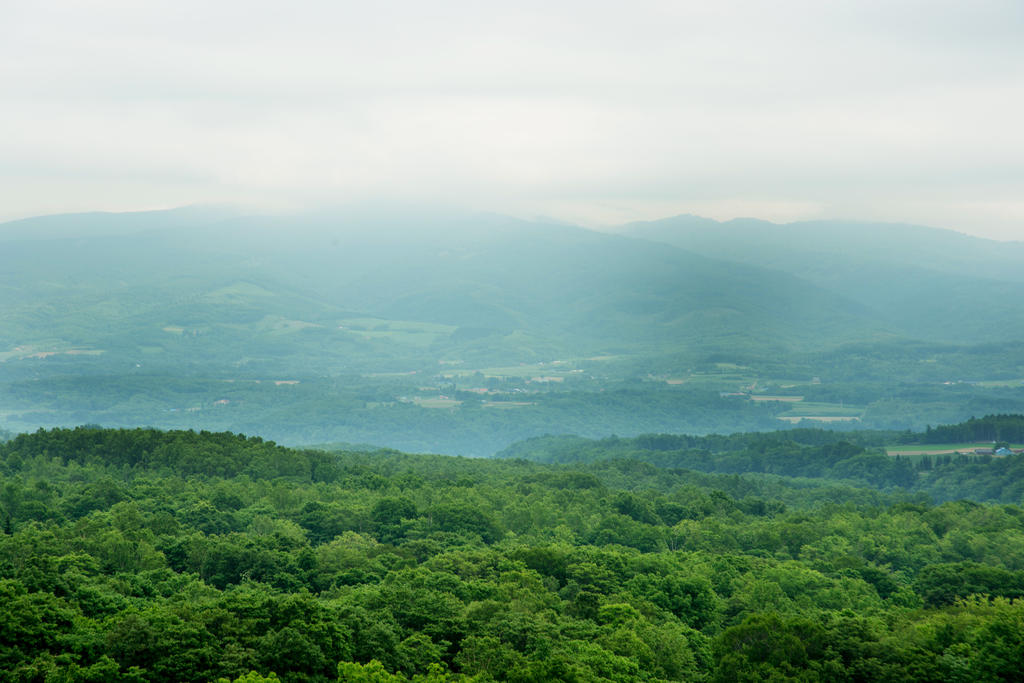 One Niseko Resort Towers