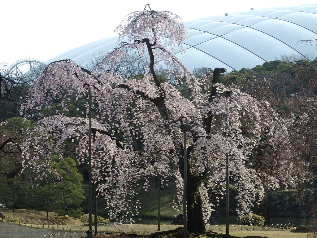 Koraku Garden Hotel