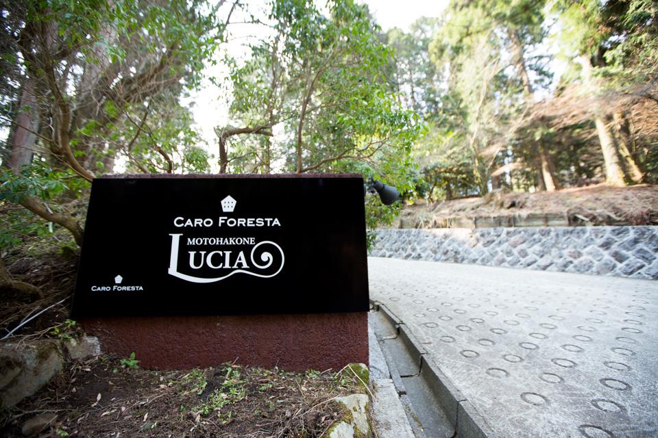 Caro Foresta Motohakone Lucia