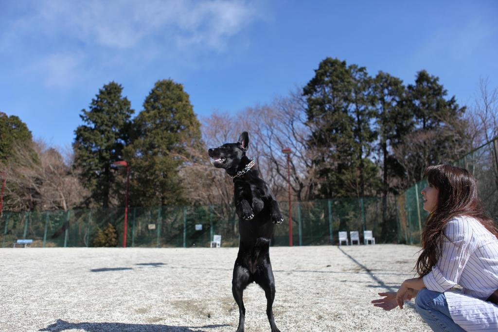 Izumigo Izukogen Dog Paradise Hotel