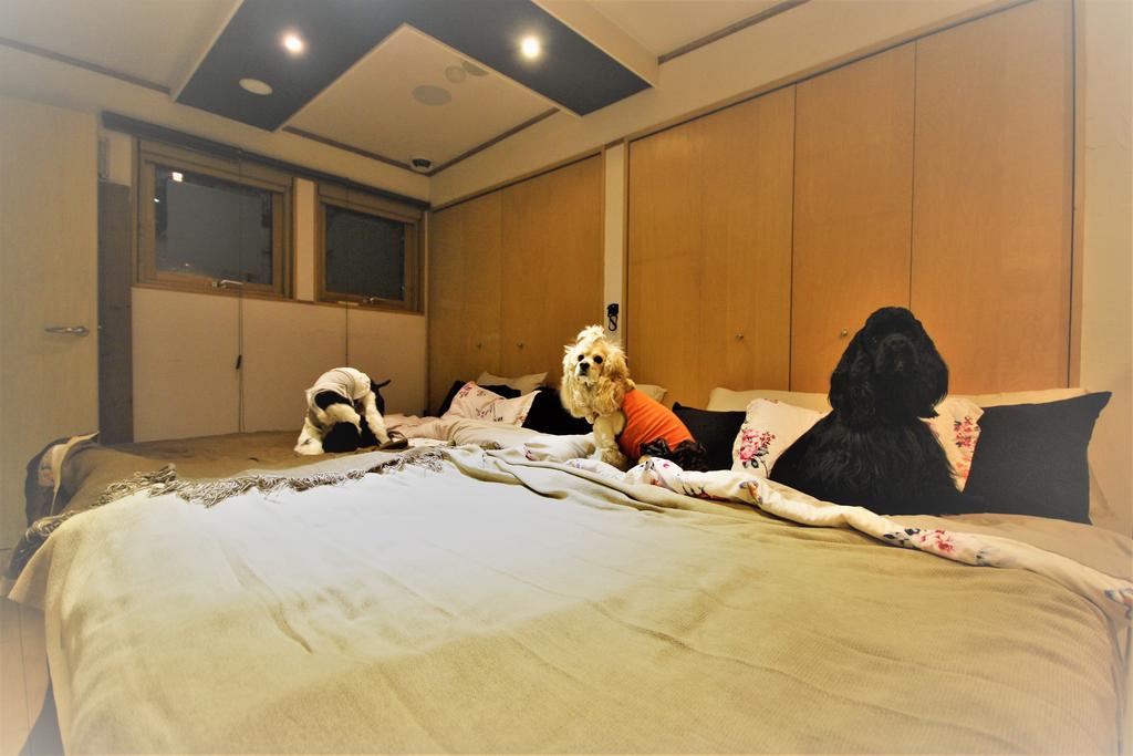 Sapporo Hiraoka Dog Hotel