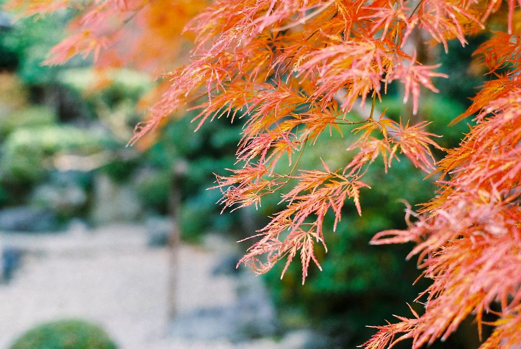 Ryokan Genhouin