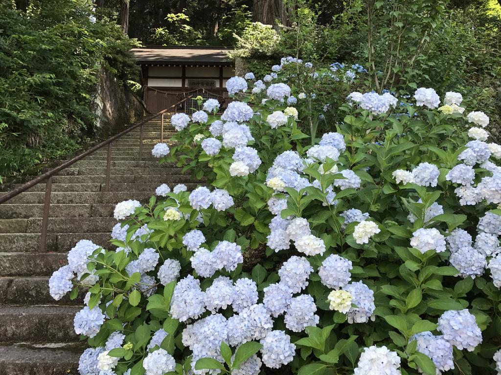 Takayama Ninja House