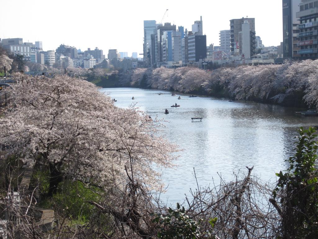 Tokyo Central Youth Hostel