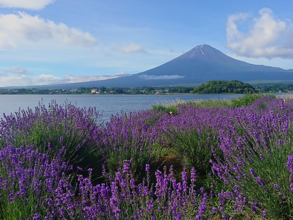 Lake Villa Kawaguchiko