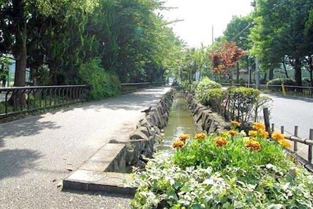 Apartment in Edogawa 099