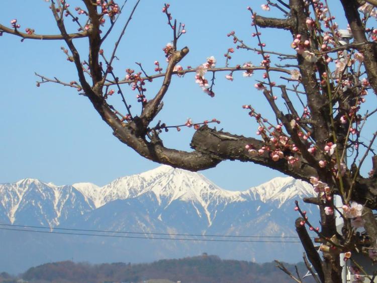 Tomitaya Ryokan Bekkan