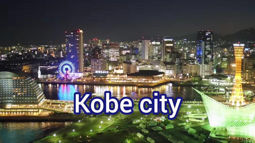 Kobe Capsule Hotel Seki