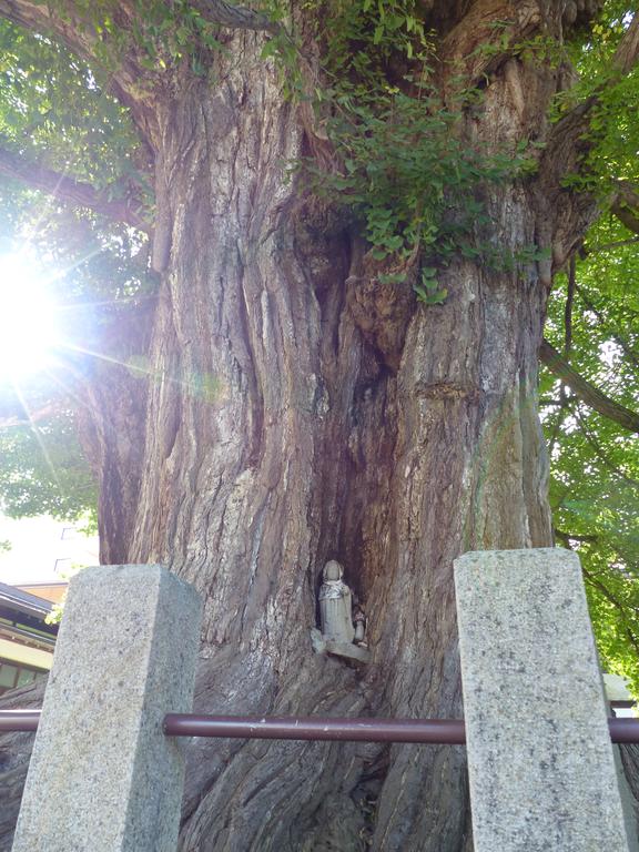 Minshuku Kuwataniya