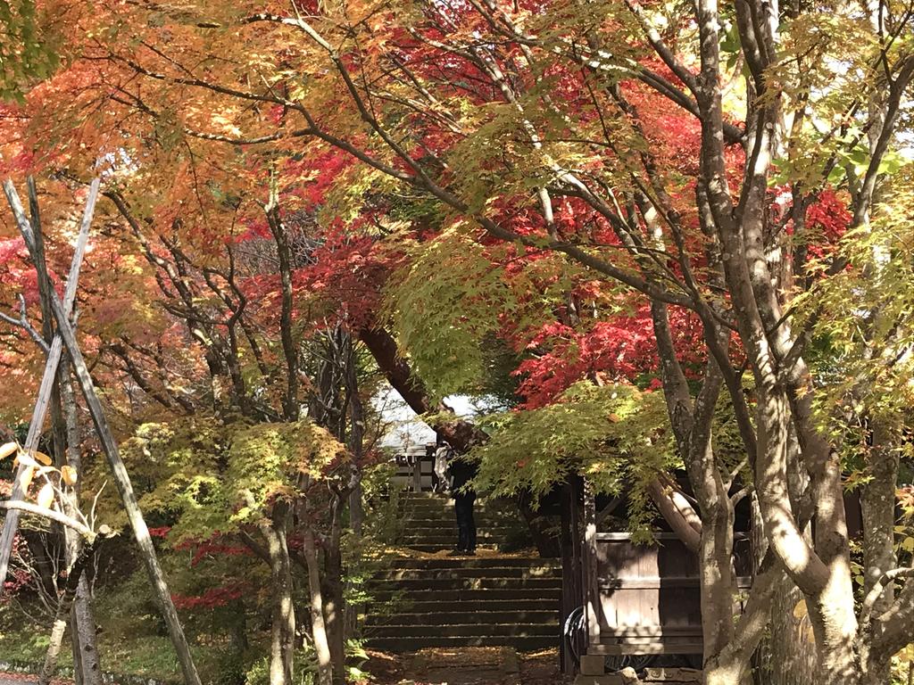 Takayama Ninja House