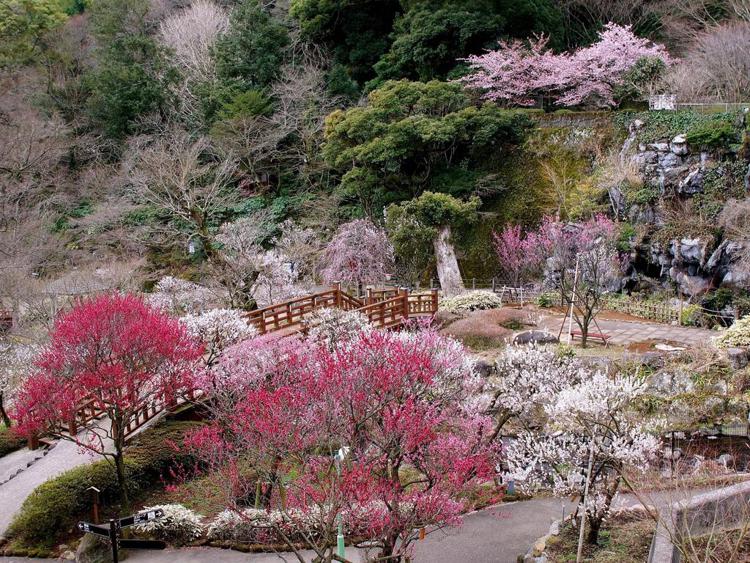 Atami Tensui