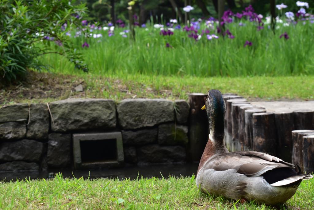 Koraku Garden Hotel