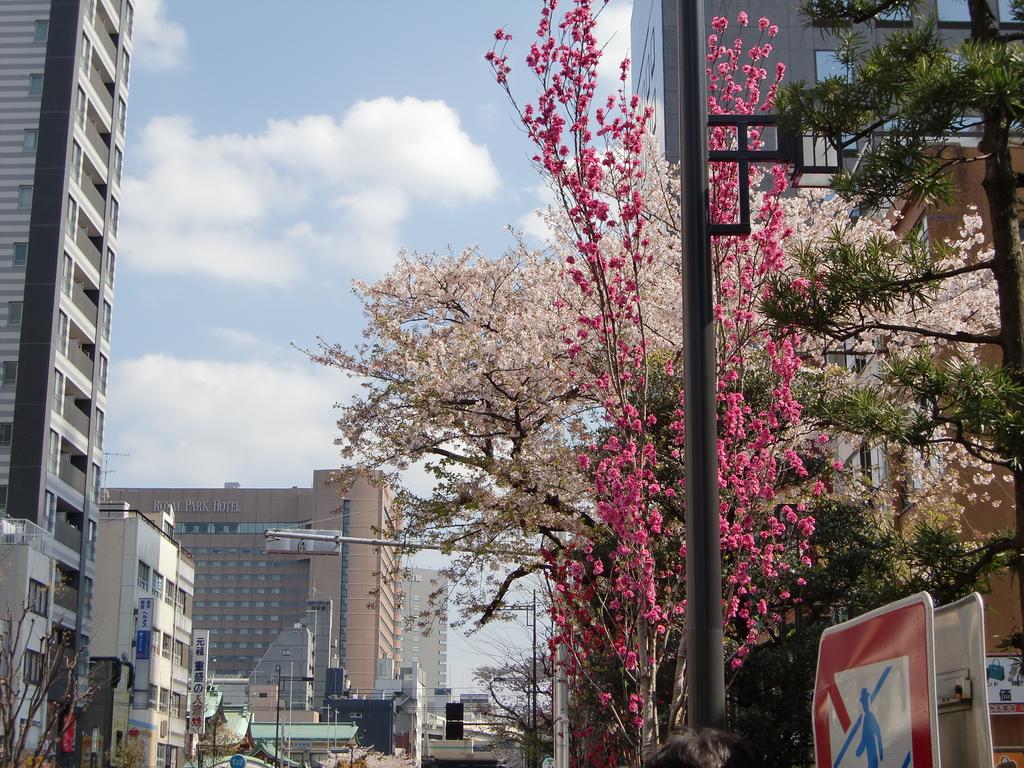 Nishitetsu Inn Nihonbashi