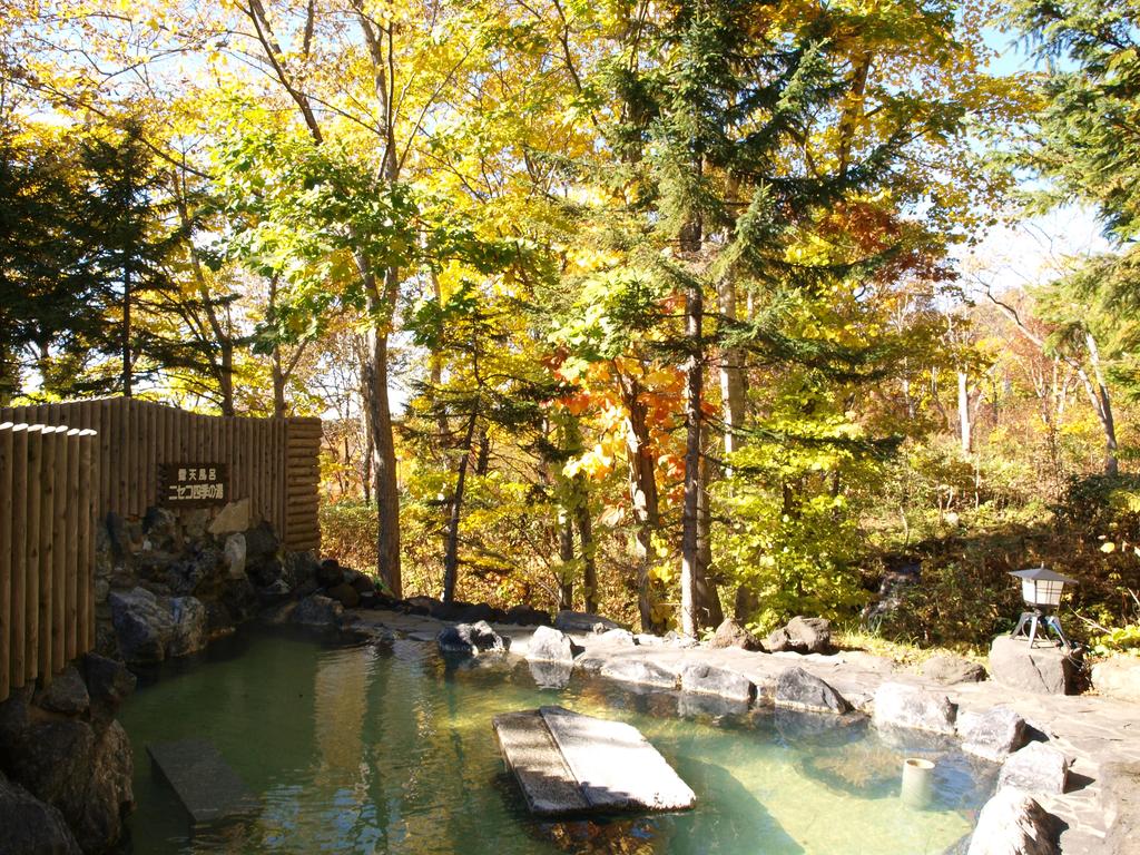 Niseko Hot Spring Ikoino Yuyado Iroha