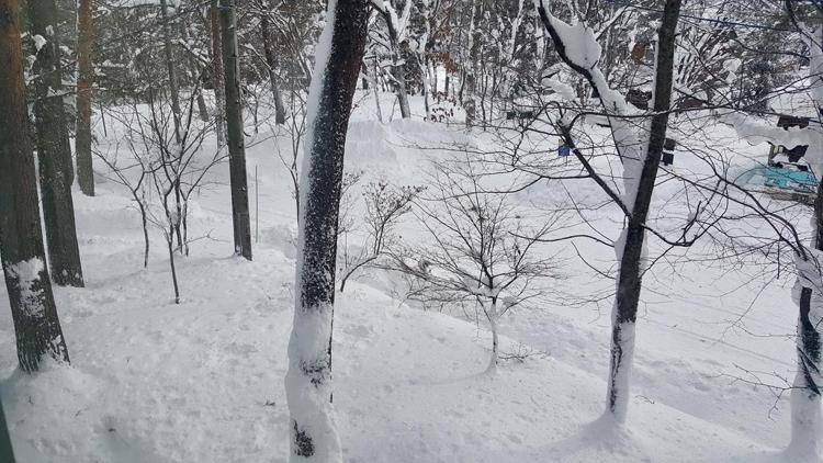 Uchimaru Hakuba