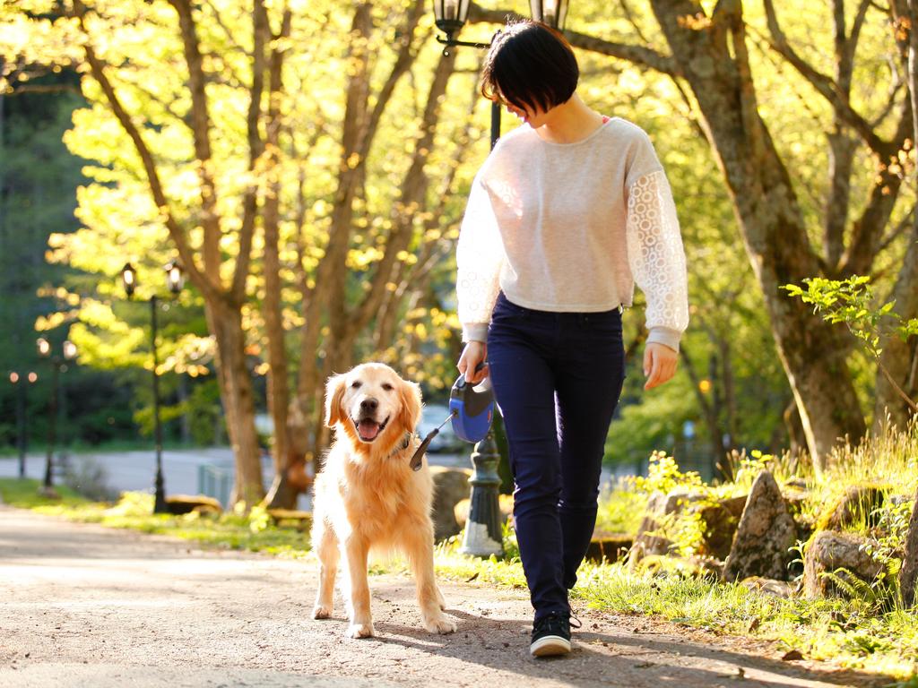 Izumigo Takayama Dog Paradise Hotel