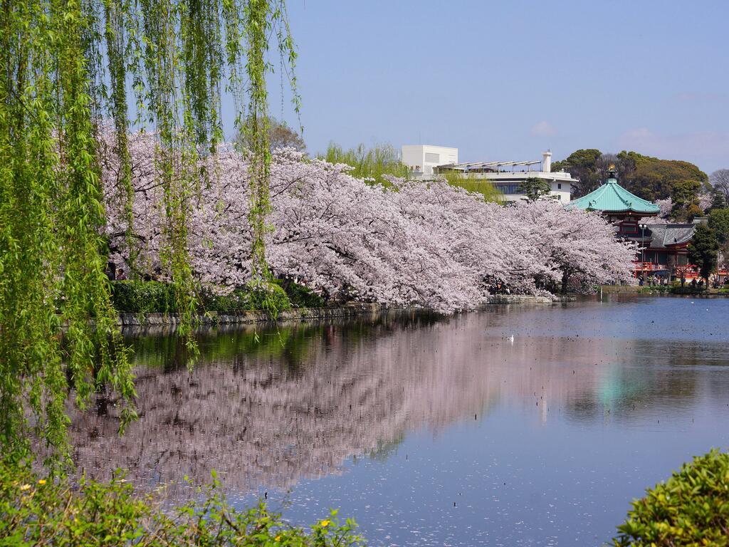 Sotetsu Fresa Inn Ueno-Okachimachi