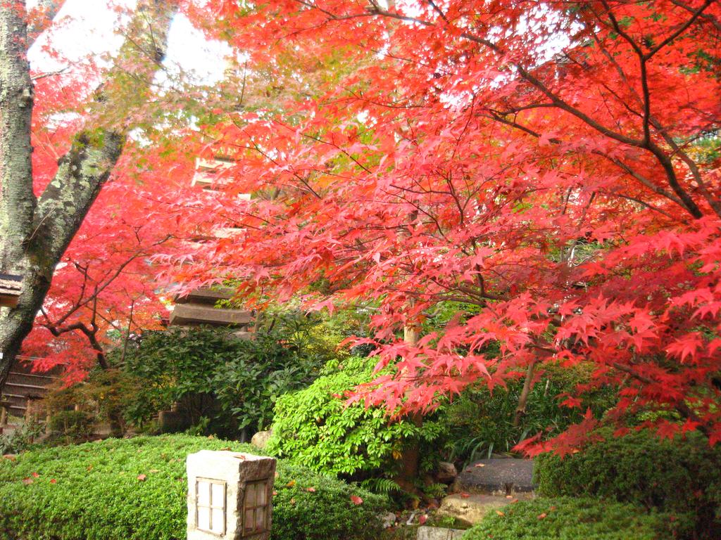 Ryokan Nenrinbo