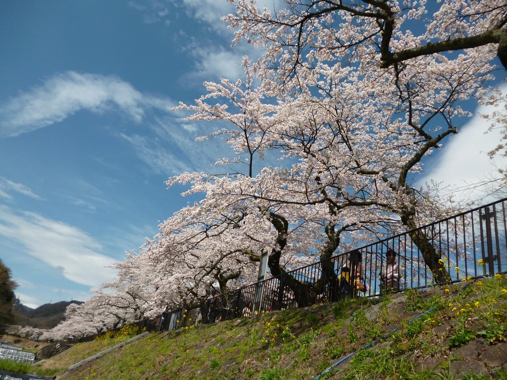 Guesthouse Hakone Nennekoya