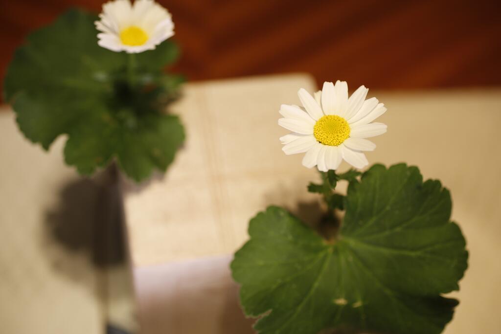 Arima Hot Spring Ryokan Kotori