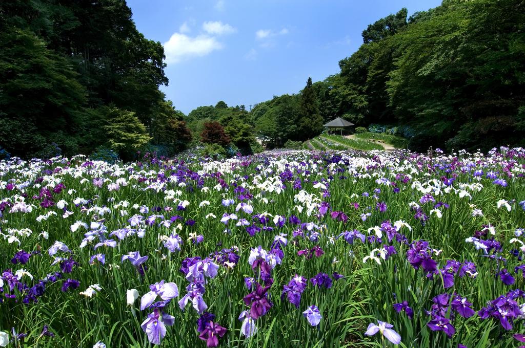 Hotel Nikko Kanazawa