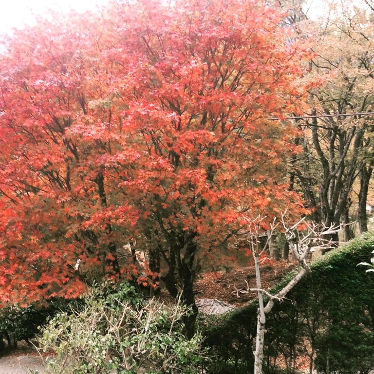 Hakone Villa