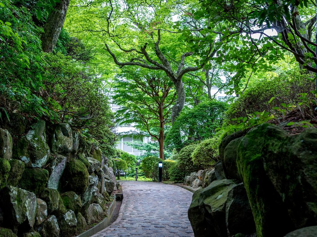 TKP Lectore Hakone Gora