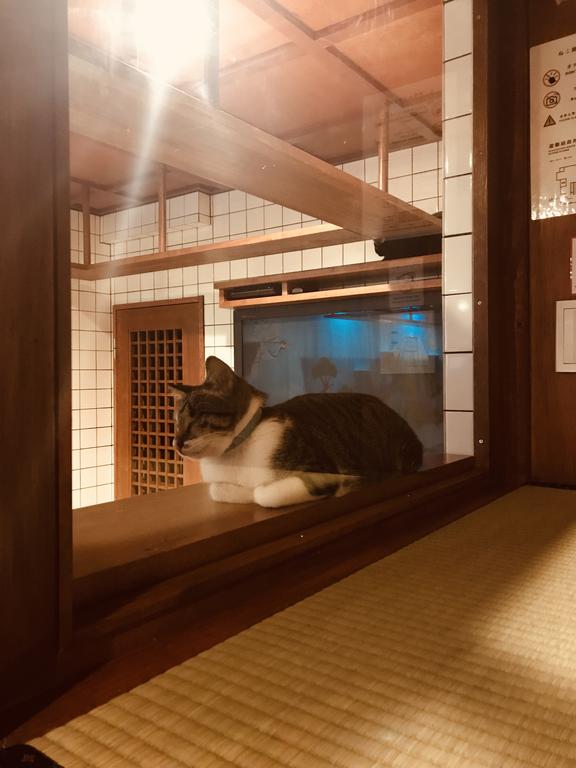 Cat Spa & Cat Ryokan by Neco Republic Osaka