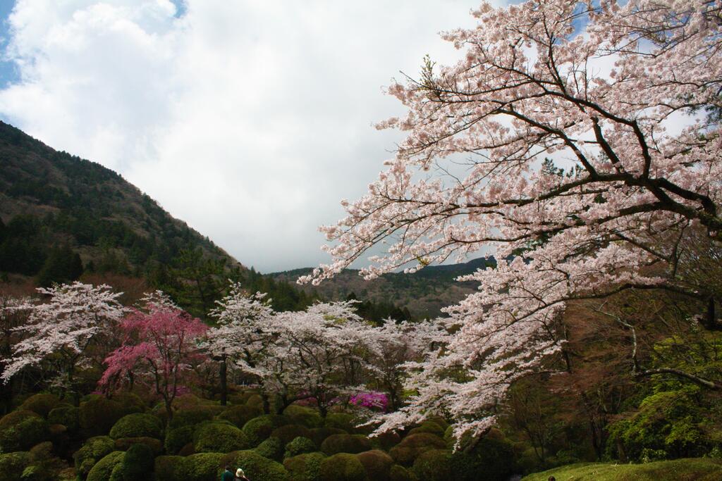 Hakone Kowakien Tenyu