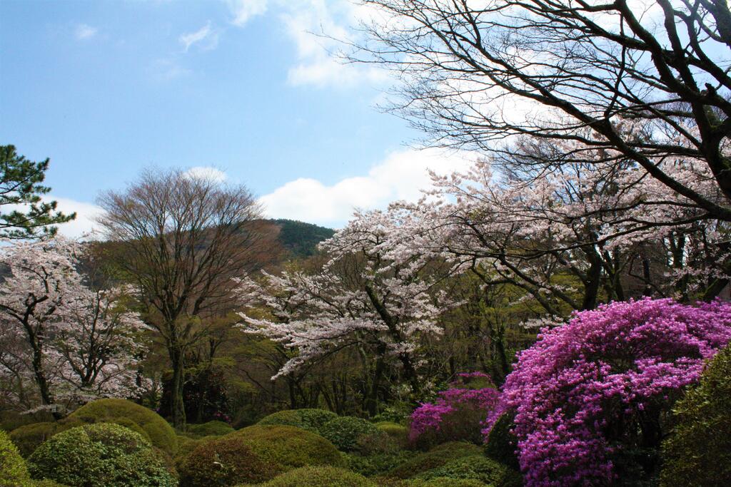 Hakone Kowakien Tenyu