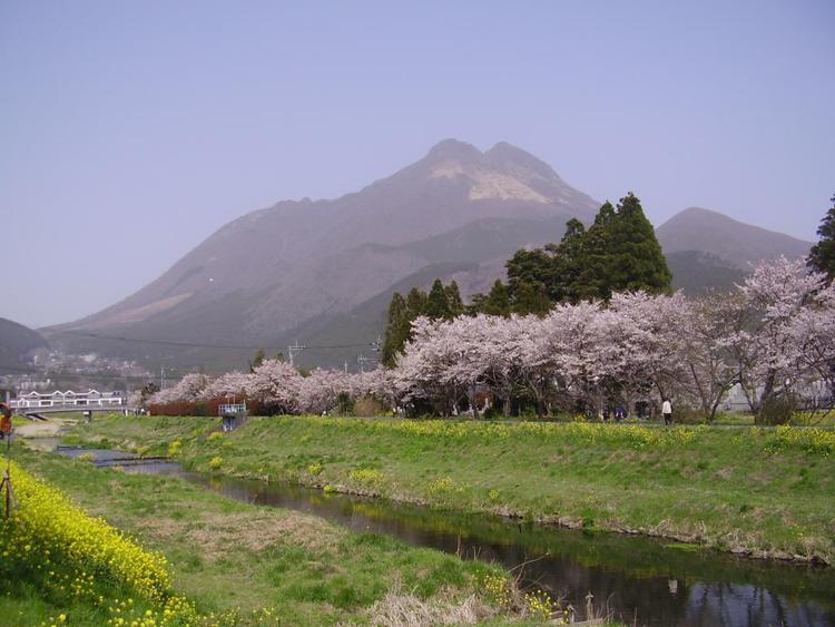 Yufuin Country Road Youth Hostel