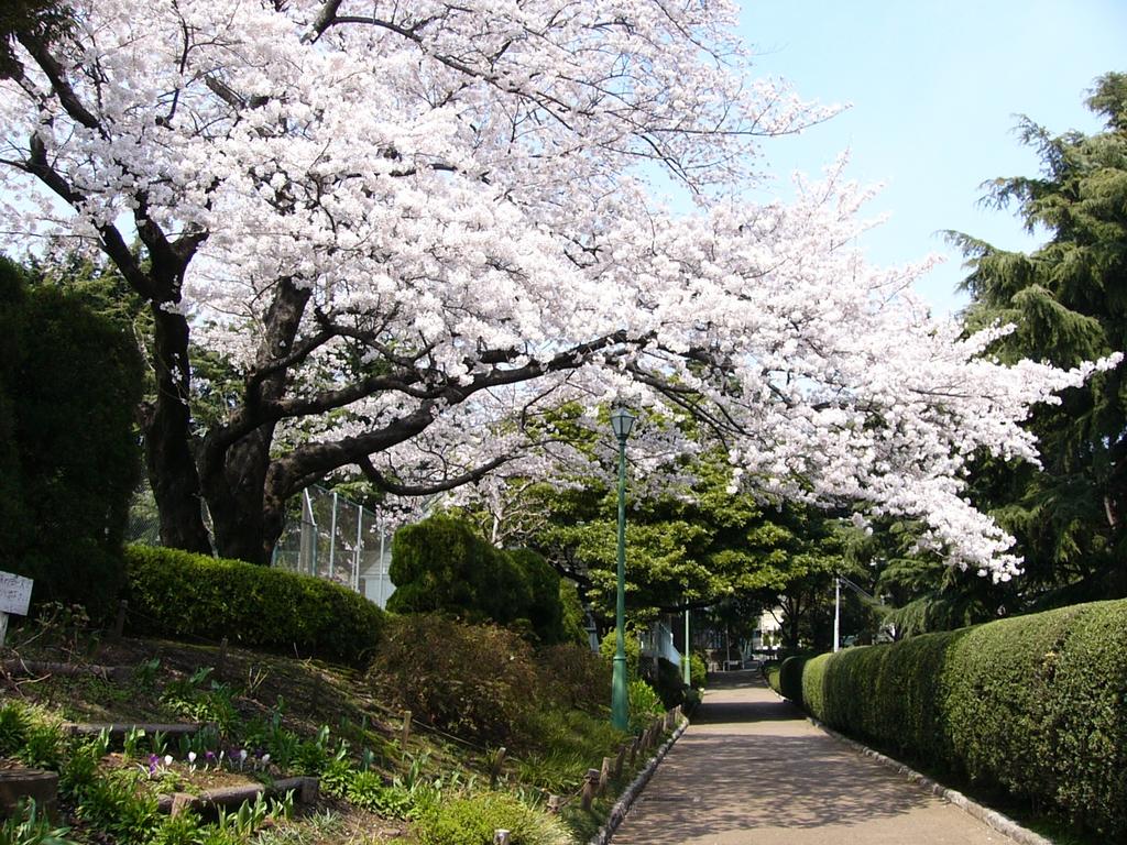 Sotetsu Fresa Inn Yokohama Sakuragi-cho