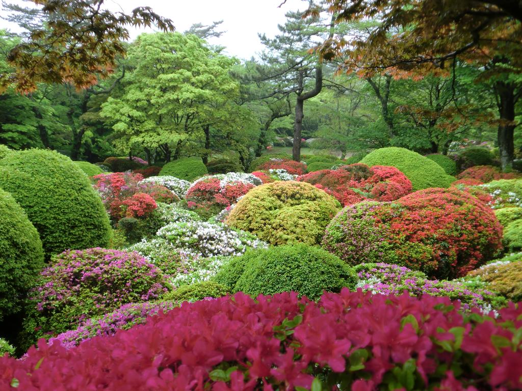 Hakone Kowakien Miyamafurin