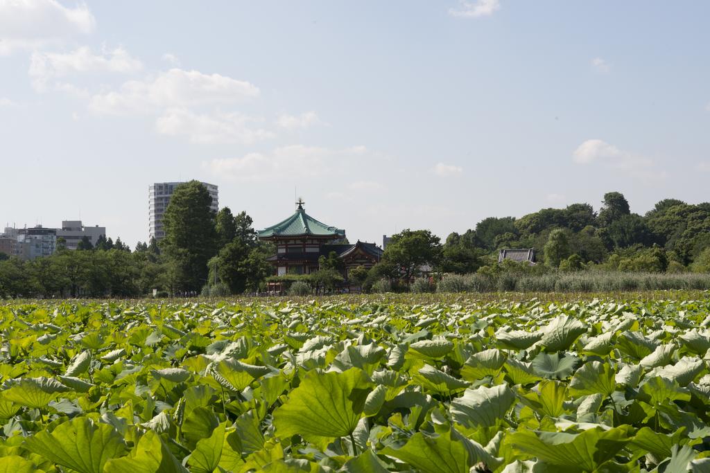 CHA-AN HOTEL UENO