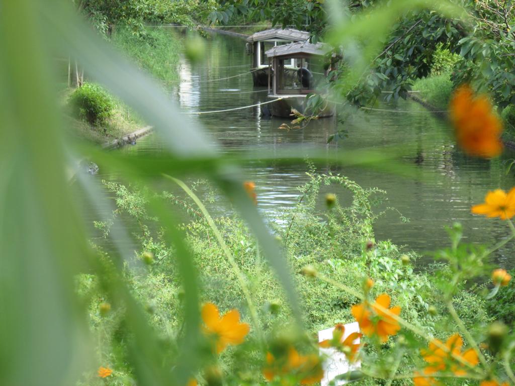 Secret Garden Kyoto